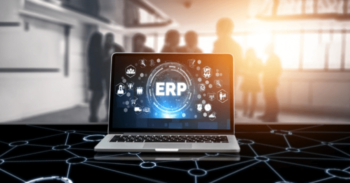 Mastering the Oracle ERP Ecosystem